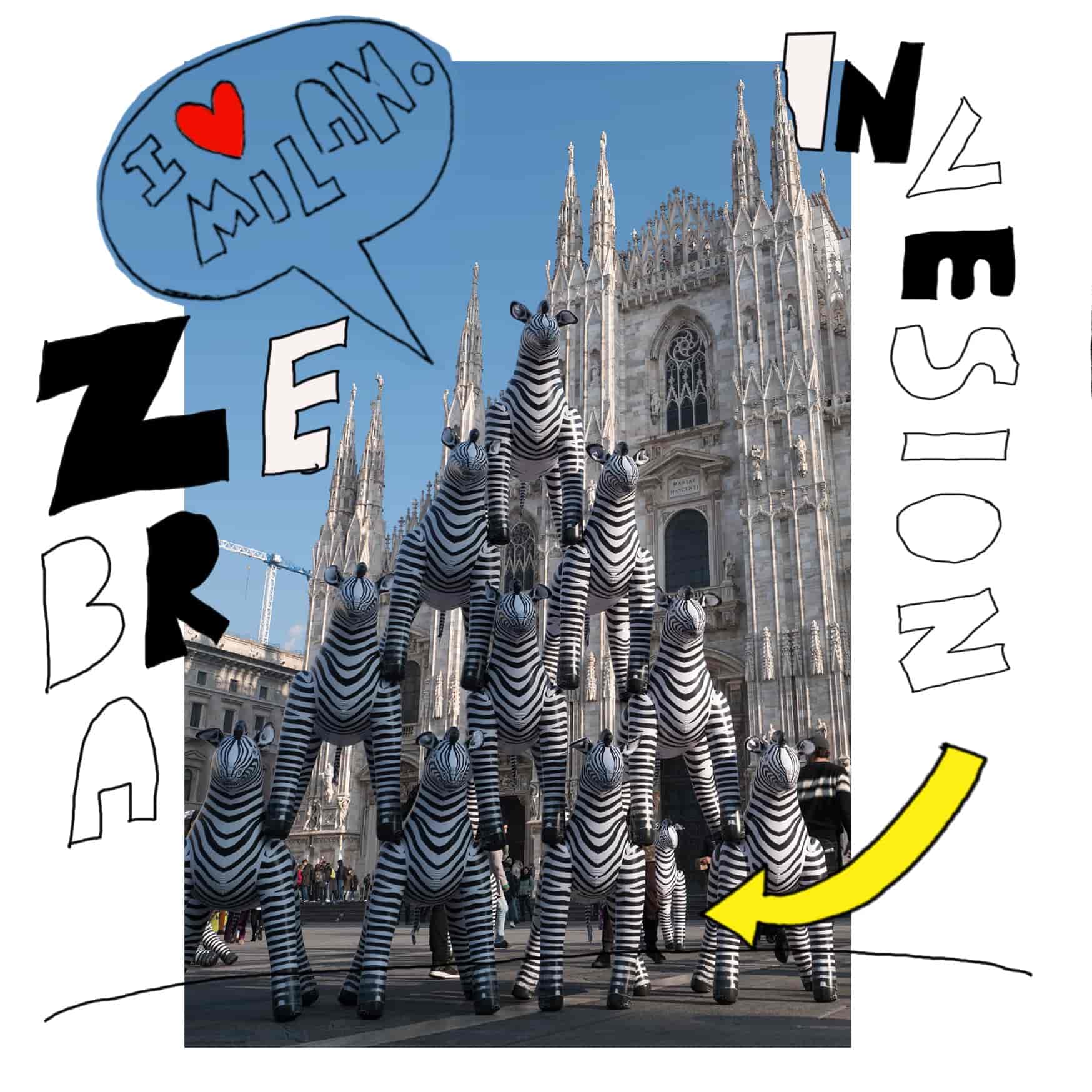 Zebra Invasion - Stefano Rossetti