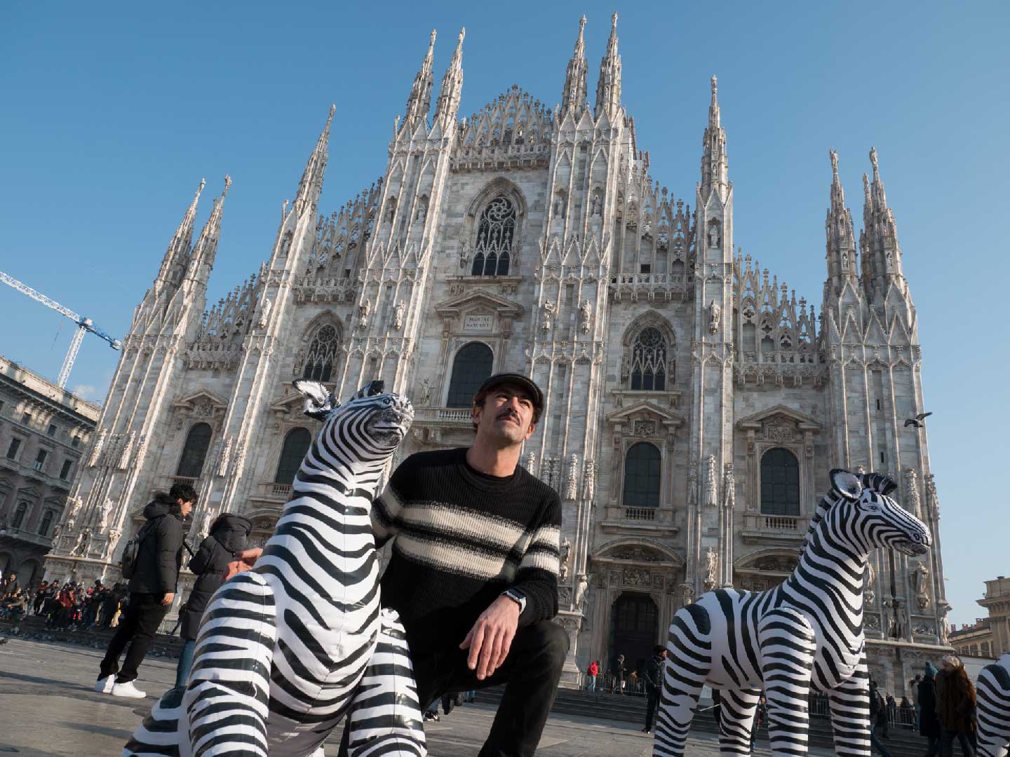 Zebra Invasion - Stefano Rossetti